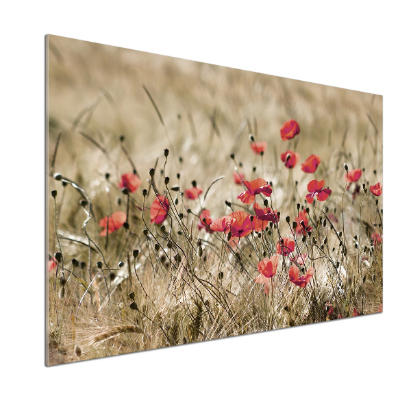 Panel para cocina Amapolas