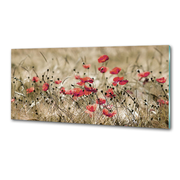 Panel para cocina Amapolas