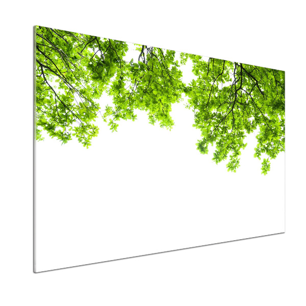 Panel de pared de cocina hojas de roble