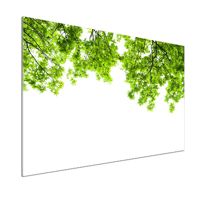 Panel de pared de cocina hojas de roble