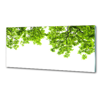 Panel de pared de cocina hojas de roble