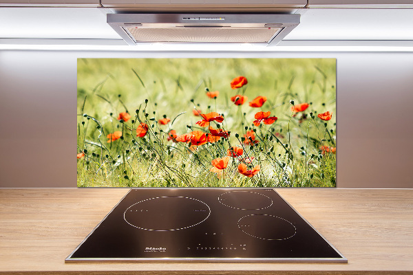 Panel szklany do kuchni Maki