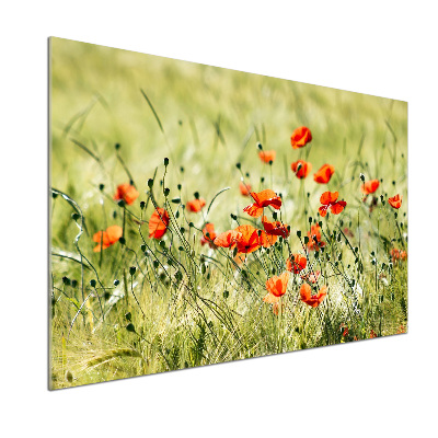 Salpicadero de cocina Amapolas