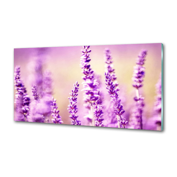 Panel antisalpicaduras Lavanda