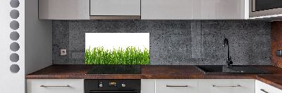 Panel para cocina Césped