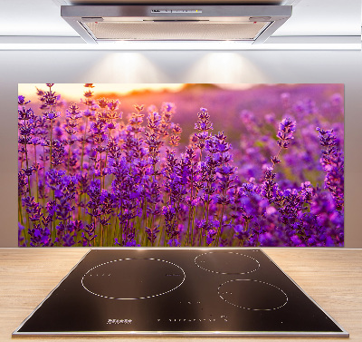 Salpicadero para cocina campo de lavanda