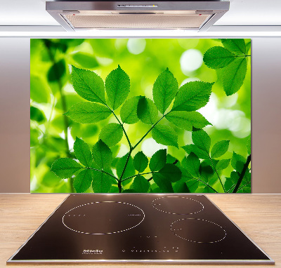 Panel de pared de cocina hojas verdes