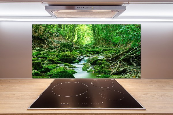 Panel de pared de cocina Un arroyo en el bosque