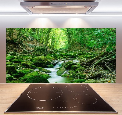 Panel de pared de cocina Un arroyo en el bosque