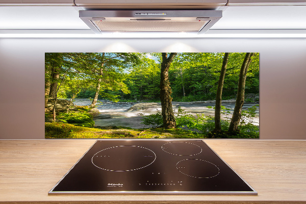 Panel antisalpicaduras Río en el bosque