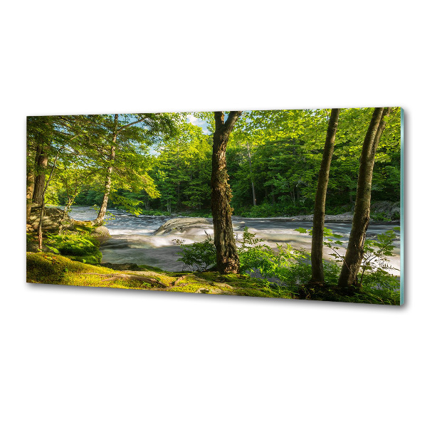 Panel antisalpicaduras Río en el bosque