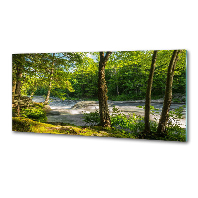 Panel antisalpicaduras Río en el bosque