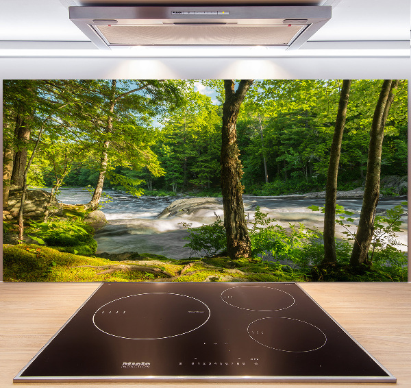 Panel antisalpicaduras Río en el bosque