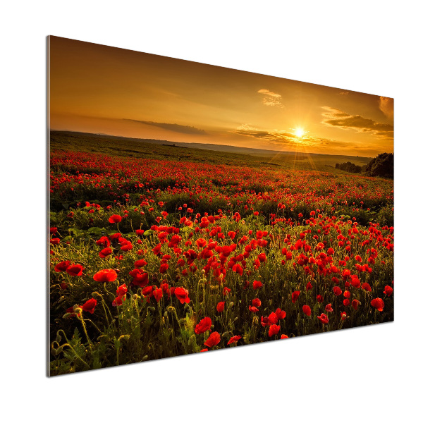 Panel para cocina Campo de amapolas