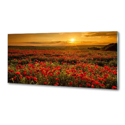 Panel para cocina Campo de amapolas