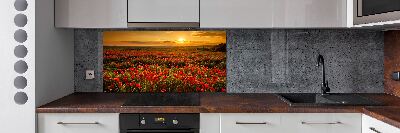 Panel para cocina Campo de amapolas