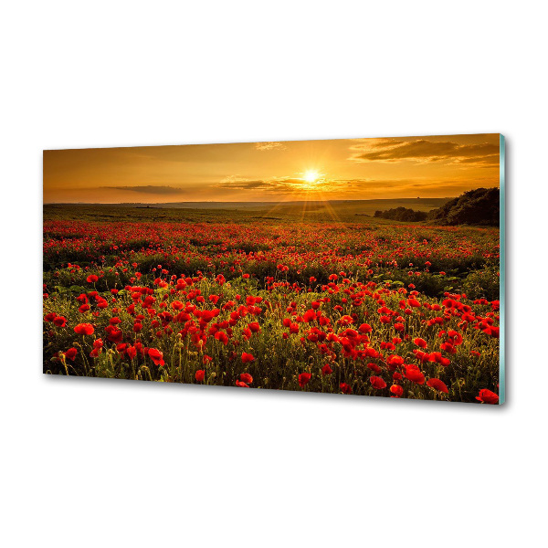 Panel dekor szkło Pole maków