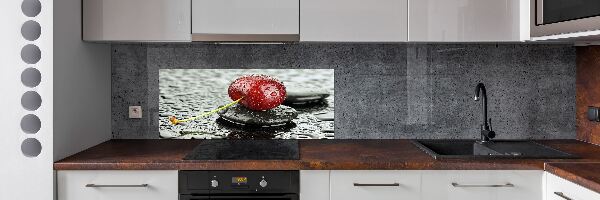 Panel antisalpicaduras Cerezo bajo la lluvia