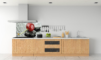 Panel antisalpicaduras Cerezo bajo la lluvia