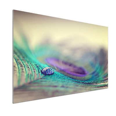 Panel para cocina Una gota sobre una pluma