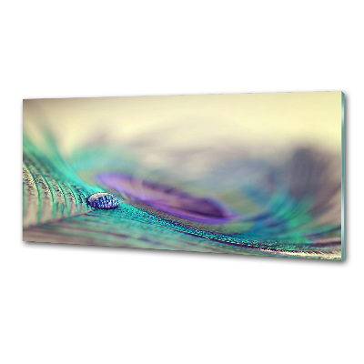 Panel para cocina Una gota sobre una pluma