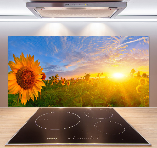 Panel para cocina Un campo de girasoles