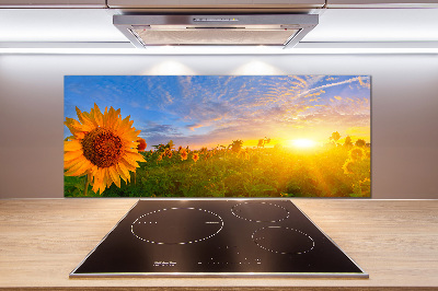 Panel para cocina Un campo de girasoles