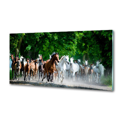 Panel do kuchni Konie w galopie
