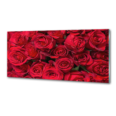 Panel de pared de cocina rosas rojas