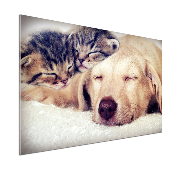 Panel do kuchni Szczeniak i koty