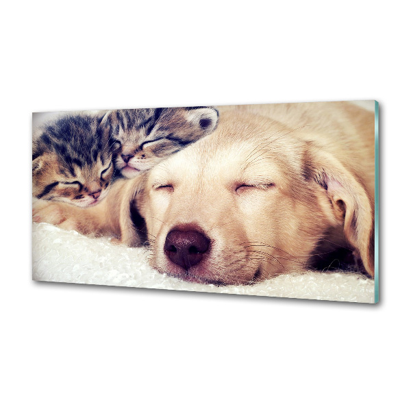 Salpicadero para cocina Cachorros y gatos