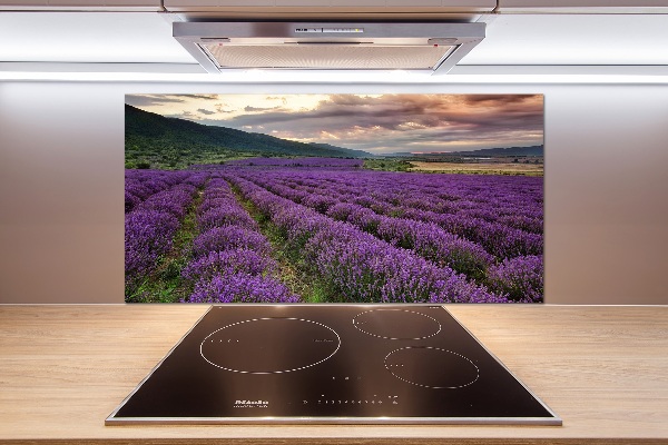 Panel para cocina campo de lavanda