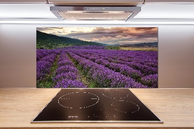 Panel para cocina campo de lavanda