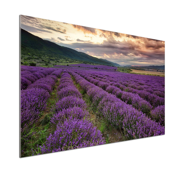 Panel para cocina campo de lavanda