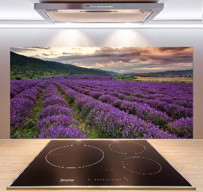 Panel para cocina campo de lavanda