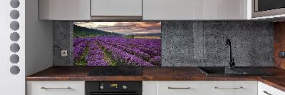 Panel para cocina campo de lavanda