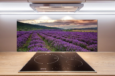 Panel para cocina campo de lavanda