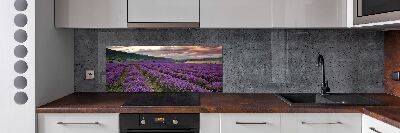 Panel para cocina campo de lavanda