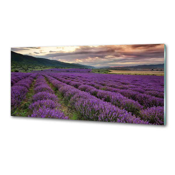 Panel para cocina campo de lavanda