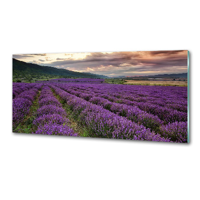 Panel para cocina campo de lavanda