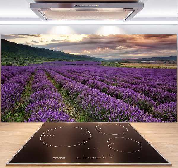 Panel para cocina campo de lavanda