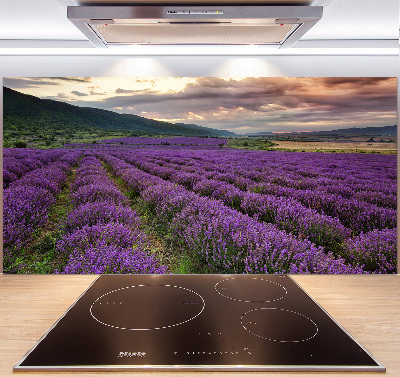 Panel para cocina campo de lavanda