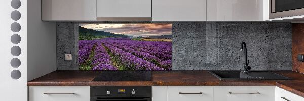 Panel para cocina campo de lavanda