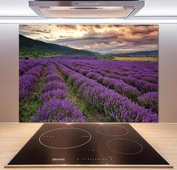 Panel para cocina campo de lavanda