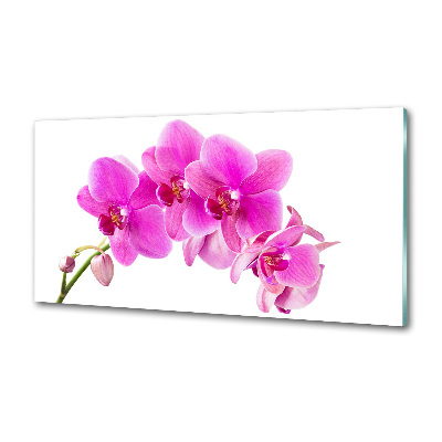 Panel antisalpicaduras Orquídea rosa