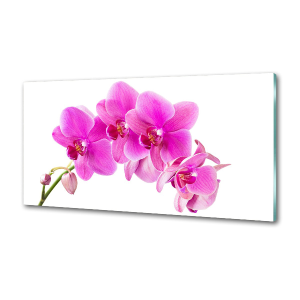 Panel antisalpicaduras Orquídea rosa