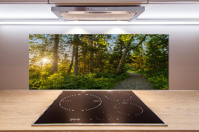 Panel para cocina Bosque