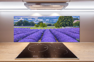 Panel antisalpicaduras campo de lavanda