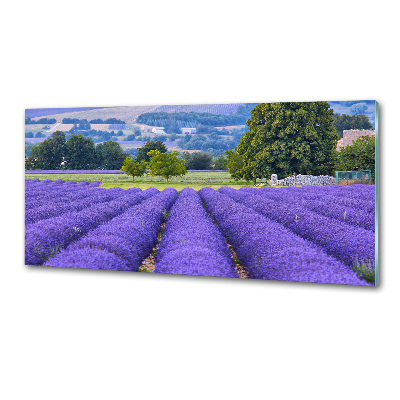 Panel antisalpicaduras campo de lavanda