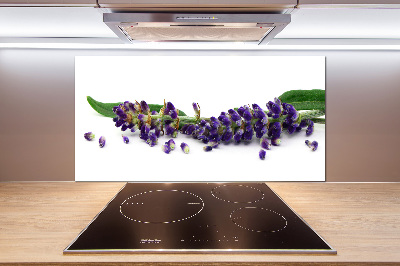 Panel para cocina Lavanda